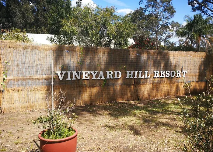 Vineyard Hill