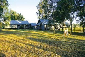 Vineyard Hill Holiday park 3*